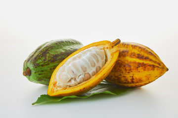 Fresh cocoa fruits with green leaf on white background