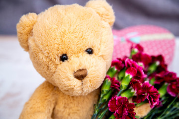 Cute toy - bear with burgundy carnations and a box in the shape of a heart, a gift