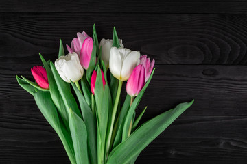 spring tulips on black wood background