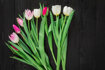 spring tulips on black wood background