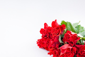 Bouquet of red rose on a white background. Free space for tksta. Gift or greeting card for the holiday. Concept for Valentine's Day, Women's Day and Mother's Day. Copy space.