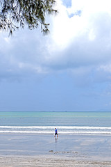 Fototapeta na wymiar Walking man on beach, coastline, tree, sky and cloud