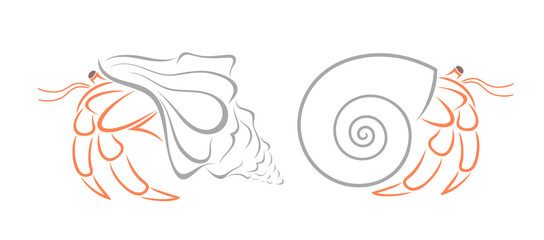 Crab hermit outline. Isolated crab on white background © oleg7799