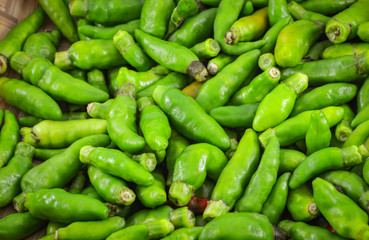 Obraz na płótnie Canvas Thai green chilli pepper isolated on white background - other names small chilli padi bird eye chili