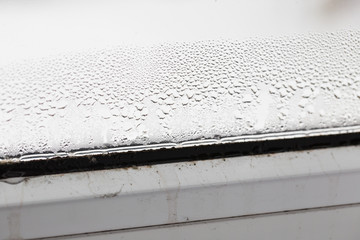 mold on a foggy plastic window of white color.