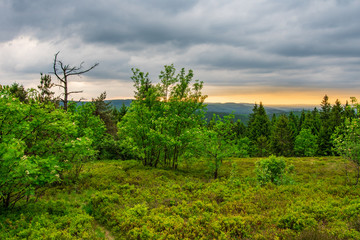 Teutoburg Forest view of  Velmerstot hill, Germany