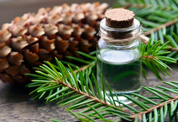 Fir needle essential oil in a glass bottle and green coniferous tree branches with cones.Spruce aroma oil for spa,aromatherapy and bodycare.Selective focus.