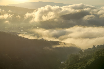 SINGLE AND SUNLIGHT IN THE DON DUONG FOREST, A NEAR TOWN TO THE LAT CITY CITY. THE SINGLE BONUS OF COMMUNICATION AND HOME