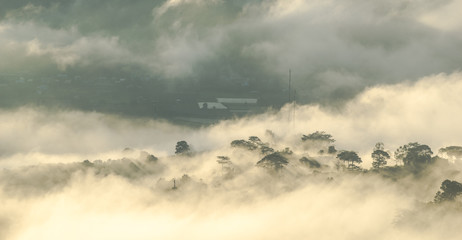 SINGLE AND SUNLIGHT IN THE DON DUONG FOREST, A NEAR TOWN TO THE LAT CITY CITY. THE SINGLE BONUS OF COMMUNICATION AND HOME