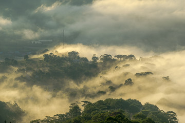 SINGLE AND SUNLIGHT IN THE DON DUONG FOREST, A NEAR TOWN TO THE LAT CITY CITY. THE SINGLE BONUS OF COMMUNICATION AND HOME