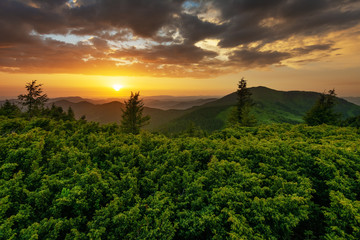 Warm sunset on the green and flowering valleys of the Ukrainian Carpathian Mountains.