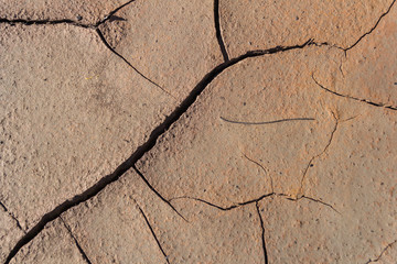 Obraz premium TEXTURE-1