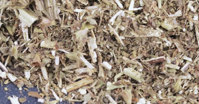 Motherwort grass in bulk