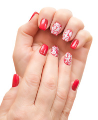 Female hands with manicure on a white background