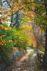 Funes Valley, near Santa Magdalena, during autumn. Dolomites, South Tyrol, Italy