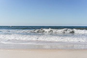 surfer with flippers and a bodyboard in a hydro suit on the ocean shore