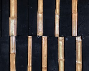 Dry bamboo decorating on black wood surface background.