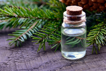 Fir needle essential oil in a glass bottle and green coniferous tree branches with cones.Spruce aroma oil for spa,aromatherapy and bodycare.Selective focus.