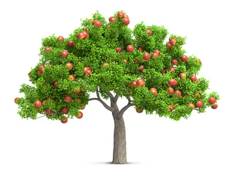Tuinposter een rode appelboom geïsoleerde 3D illustratie © andreusK