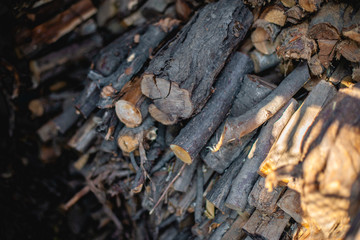 firewood. wood. close-up