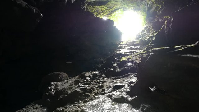 Cave in the Gunung Mulu National Park, Borneo, Malaysia