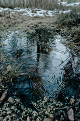 Fototapeta premium Frozen ice pattern on the ground