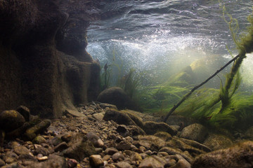 Rocks underwater on riverbed with clear freshwater. River habitat. Underwater landscape. Mountain...
