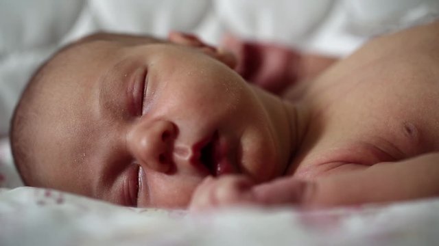Newborn baby sleeps