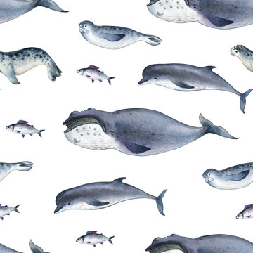 Seamless watercolor pattern about sea fauna. marine animal. Dolphin, whale, fish and seal on white background