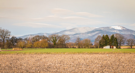 view of a field in the countryside with a hut