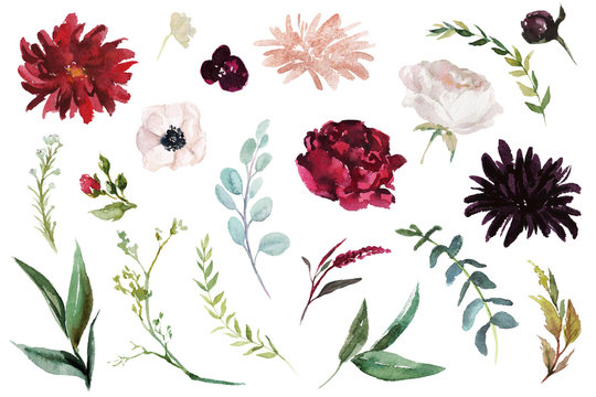 Watercolour floral illustration set. DIY flower elements collection - perfect for flower bouquets, wreaths, arrangements, wedding invitations, anniversary, birthday, postcards, greetings, cards, logo.
