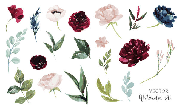 Vector Watercolour Floral Illustration Set. DIY Flower Elements Collection - Perfect For Flower Bouquets, Wreaths, Arrangements, Wedding Invitations, Anniversary, Birthday, Greetings, Cards, Logo.