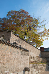 동양 한국 문화재 문화유산 창덕궁 풍경 백그라운드 사진