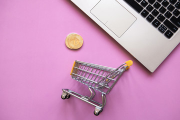 Conceptual photo of e-commerce using cryptocurrency. Computer, shopping trolley and Bitcoin coins or cryptocurrency on a trendy pink background.