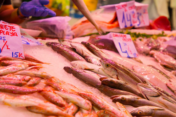 Pescados,mariscos y crustaceos en el mercado