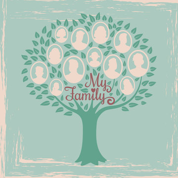Vintage genealogy tree. Genealogical family tree vector illustration. Genealogical history, family tree togetherness