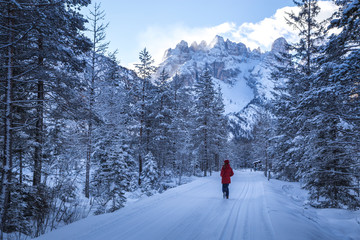 Sesto Dolomites, South Tyrol, Italy