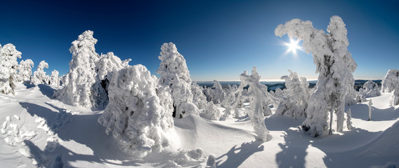 Fototapeta na wymiar Brocken Harz Winter Skulpturen Panorama