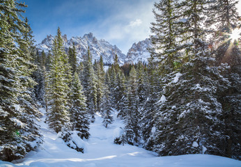 Sesto Dolomites, South Tyrol, Italy