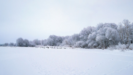 beautiful winter landscape
