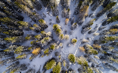 Sesto Dolomites, South Tyrol, Italy