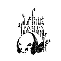 Hand drawn panda with bamboo. Vector illustration isolated on white. Panda Logo Design Inspiration.