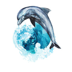Watercolor hand-drawn dolphin illustration - jumping up from the foamy ocean wave, playful, happy mammal. Character, logo, children wallpaper, doodle, cartoon. Marine clip art. Ocean, sea inhabitant. © Veris Studio