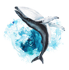 Watercolor hand-drawn humpback whale illustration - jumping up from the foamy ocean wave, playful, happy mammal. Character, logo, children wallpaper, doodle. Marine clip art. Ocean, sea inhabitant.  © Veris Studio