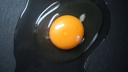 egg in a frying pan,egg, food, white, yolk, breakfast, isolated, chicken, eggs, yellow, black, raw, brown, fresh, cooking, healthy, protein, closeup, shell, object, pan, orange, fried, meal, 