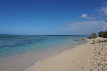 beach and sea