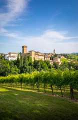 Fototapeta na wymiar Levizzano Rangone with some wineyards on the foreground during springtiime. Castelvetro Rangone, Modena, Emilia Romagna, Italy