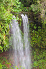 Falls in tropical forest. Amber Mountain, Diego-Suarez, Madagascar