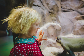 cute little girl enjoy trip to the zoo, looking at animals