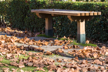 Wooden bench in winter